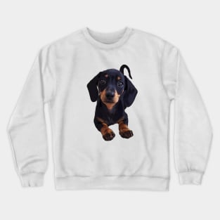 Dachshund Puppy Black and Tan Smooth wiener Crewneck Sweatshirt